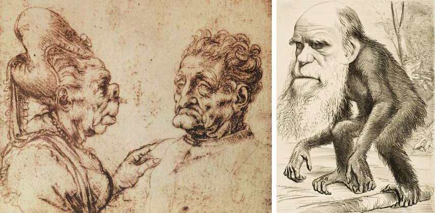 Leonardo Da Vinci - Caricaturas + John Tenniel - Darwin 